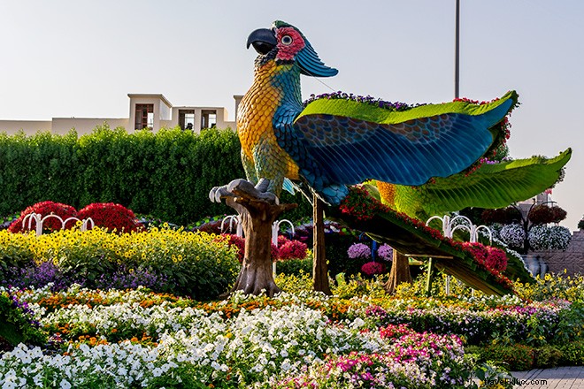 Dubais Miracle Garden es una Alicia en el país de las maravillas de la vida real 